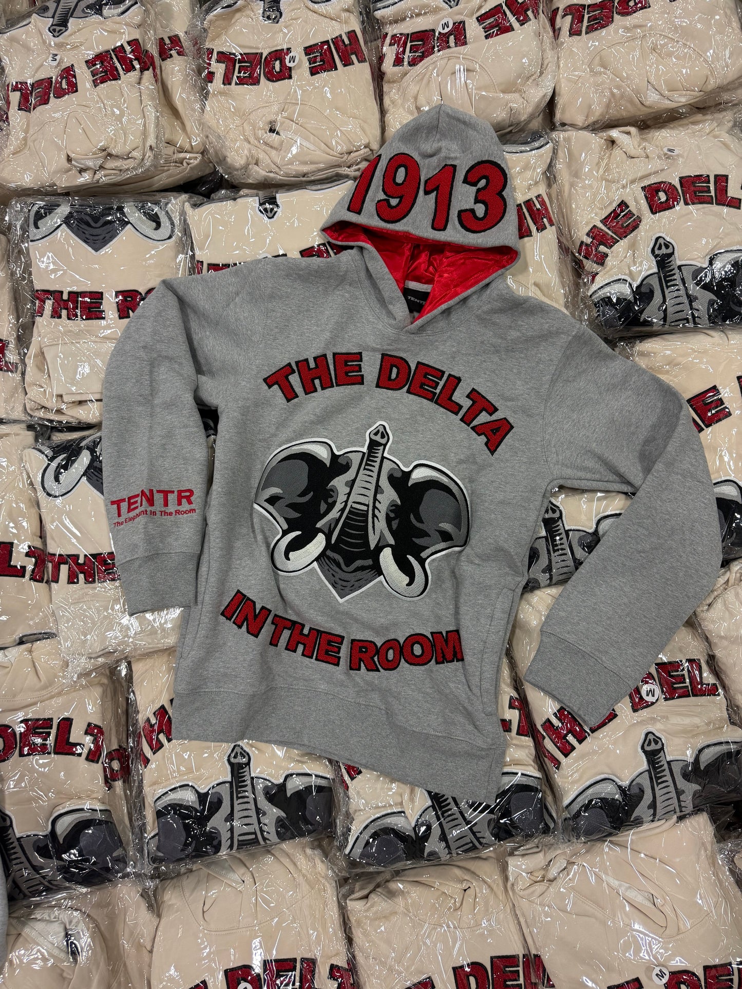 "BOGO The Delta In The Room Grey" (Pre Order)