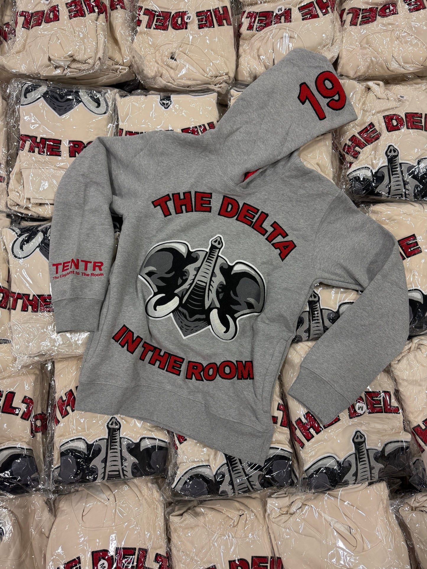 "BOGO The Delta In The Room Grey" (Pre Order)