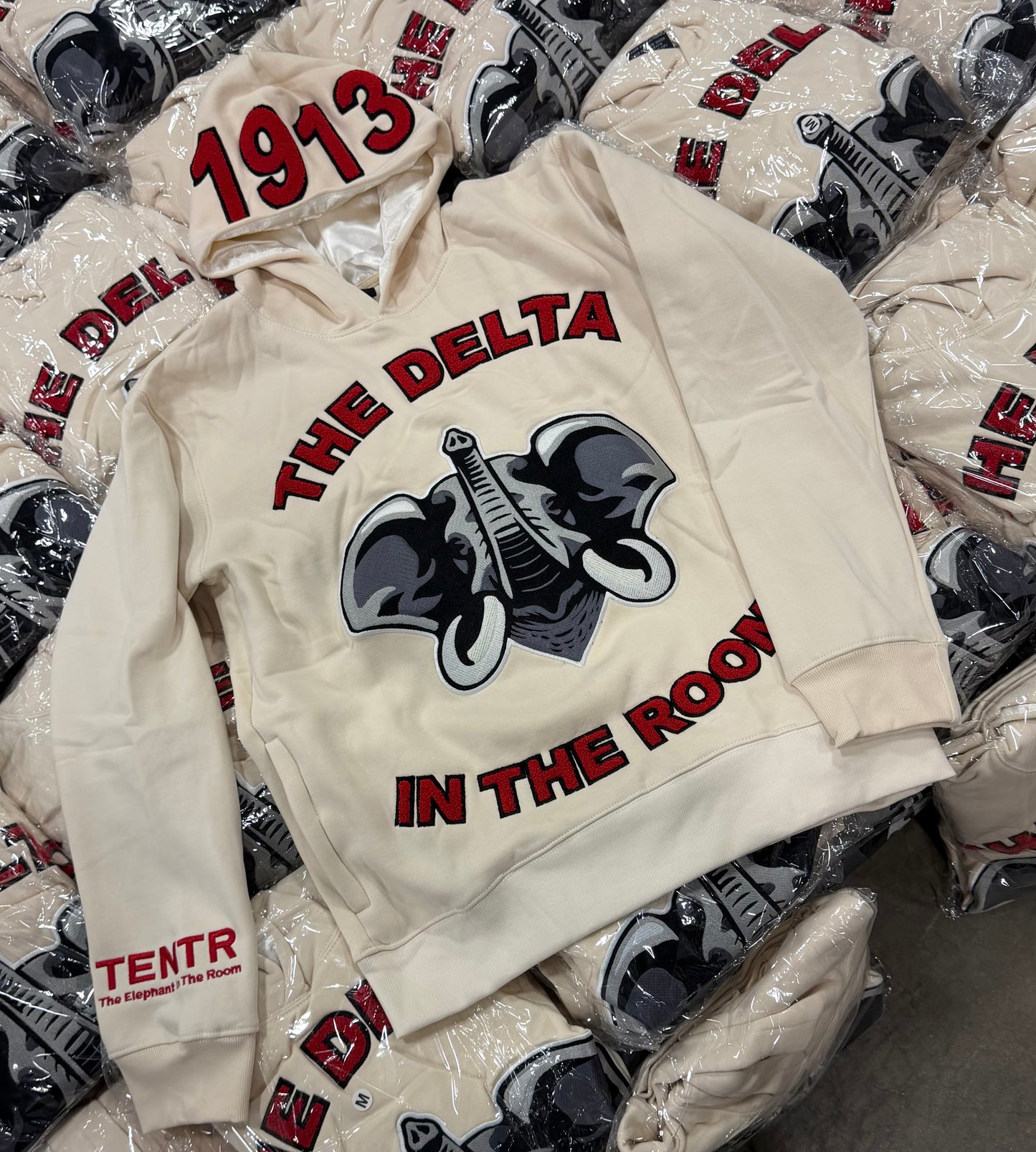 "The Delta In The Room" (Pre Order)
