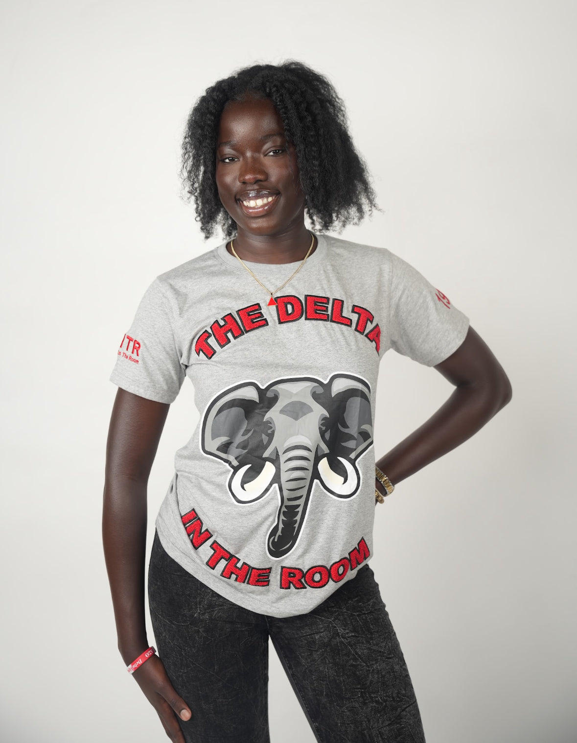 "The Delta In The Room" T Shirt