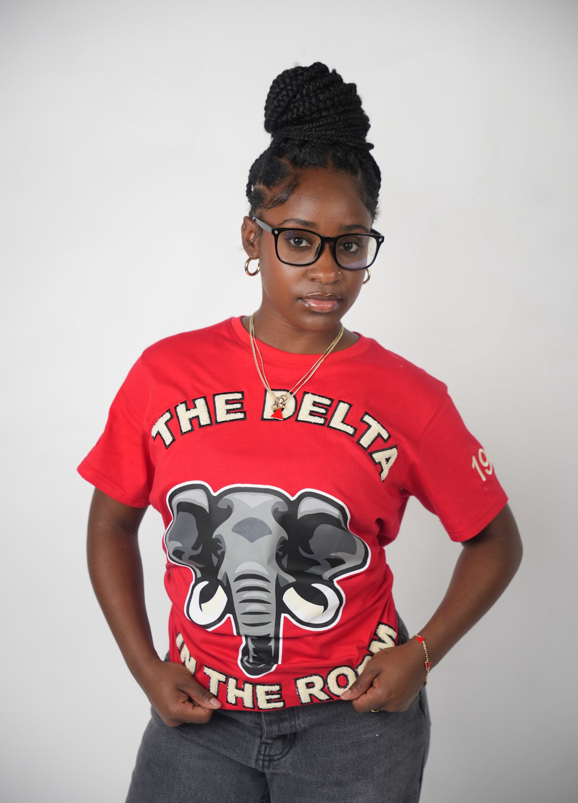 "The Delta In The Room" T Shirt