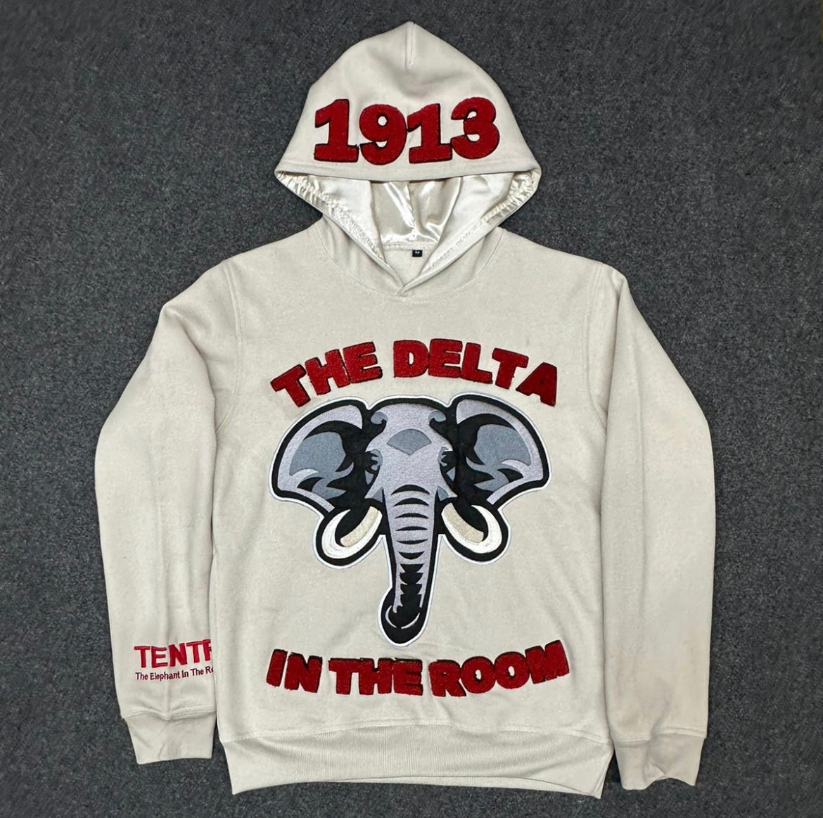 ORIGINAL THE DELTA IN THE ROOM — AS-IS HOODIE