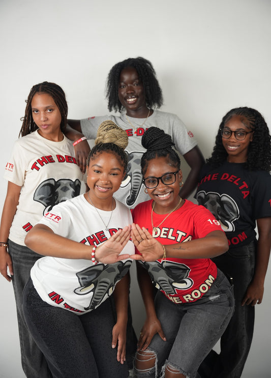 "The Delta In The Room" T Shirt