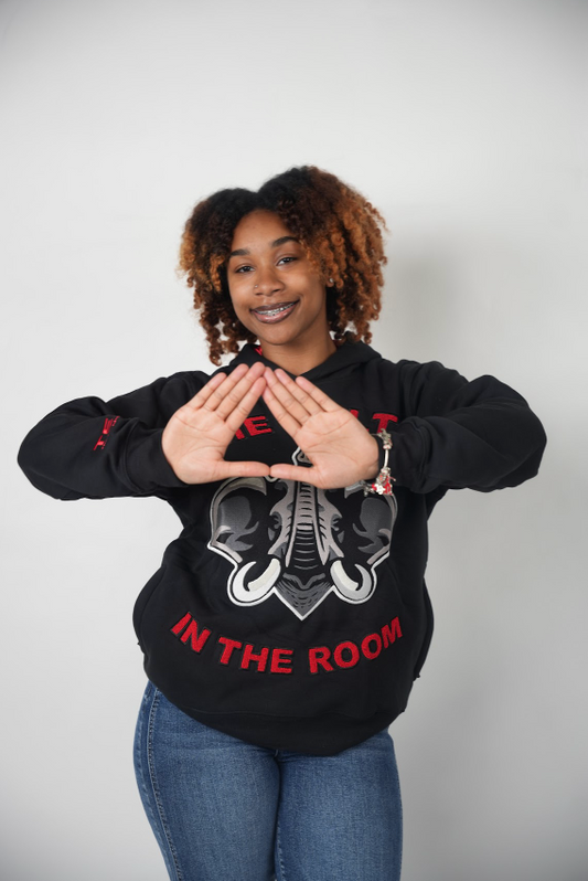 "The Delta In The Room" Black Out Edition